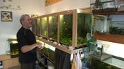 Wasserrose: Der Verein für Aquarien- und Terrarienkunde existiert 100 Jahre