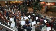 Musikalischer Flashmob: Die Jenaer Philharmonie überraschte in der Goethe Galerie