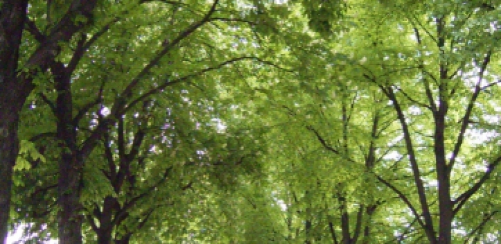 Ministerpräsident übereichte Bundesverdienstkreuz  