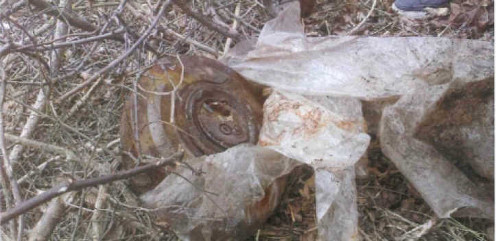 Geocacher stoßen auf Mine   