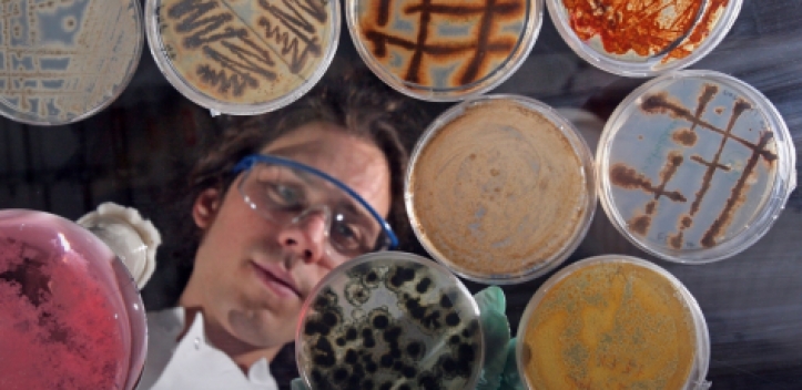 Pilzprodukt als Störenfried im Immunsystem 