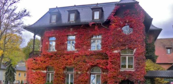 „Jenaer Preis für Fassadenbegrünung 2015“