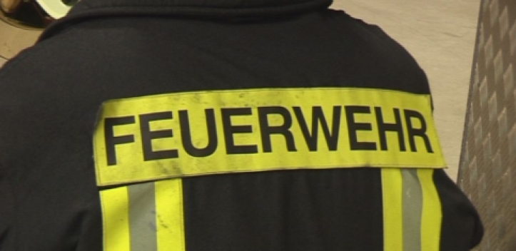 Orkantief „Niklas“: Viele umgestürzte Bäume in Jena