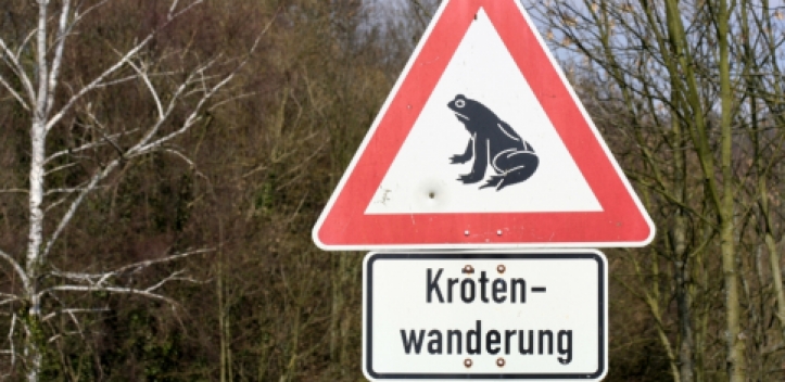 NABU Thüringen bittet Autofahrer um Rücksichtnahme 