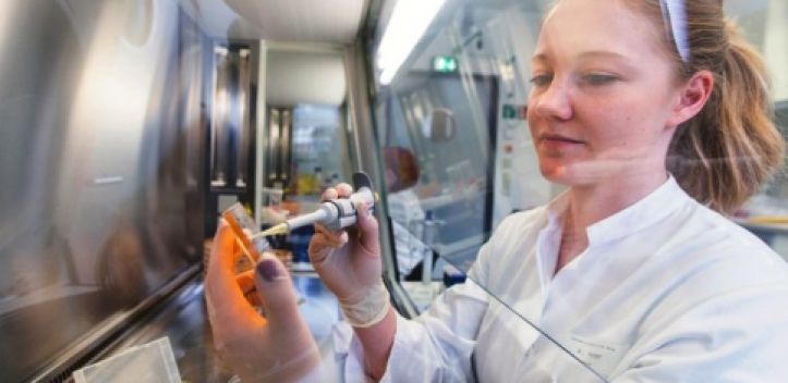 Sepsisforschung in Jena wird ausgebaut