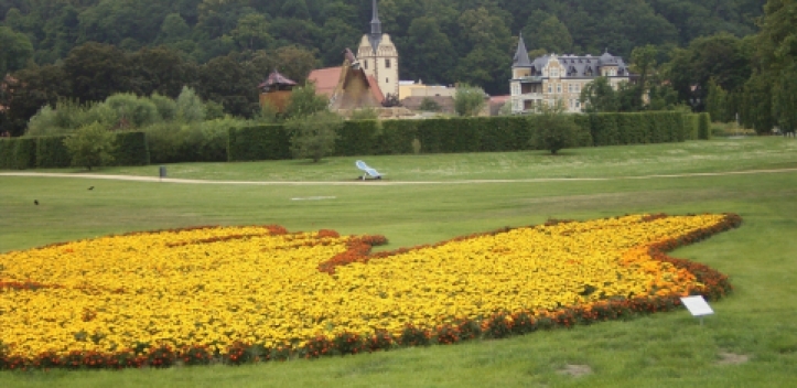 Aktion „Blumen für die Parks“