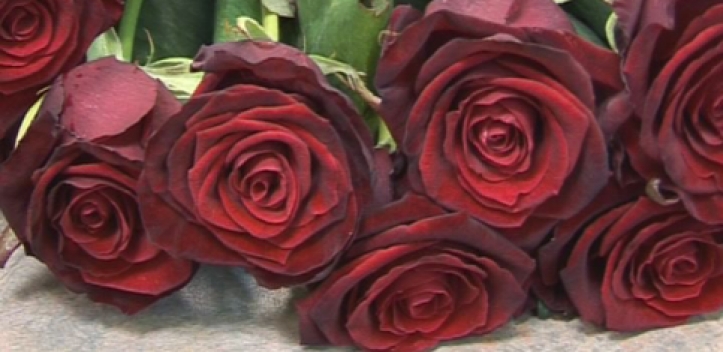 Gratulation zum 60. Hochzeitstag