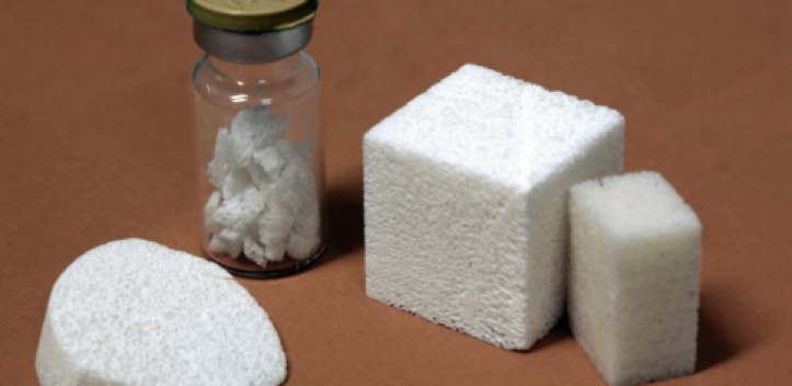 Tagung zu Biomaterialien 