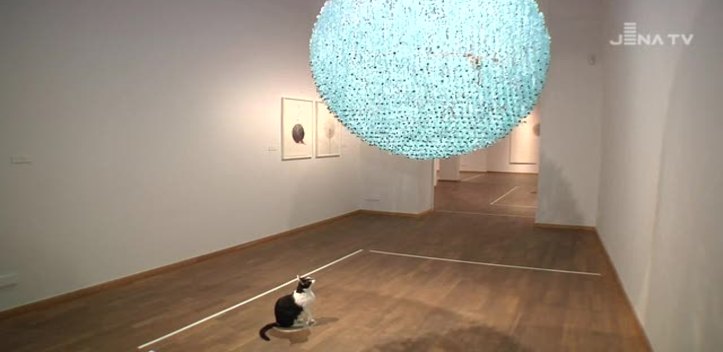 Installationen: In der Kunstsammlung sind Werke der irischen Künstlerin Claire Morgan zu sehen