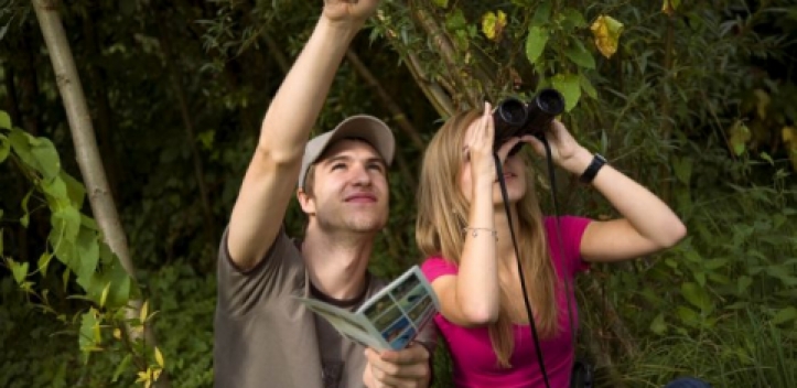 Wieder „Stunde der Gartenvögel“ 