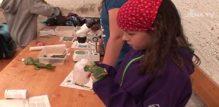 Einsatz für die Natur: In der Grünen Schule lernen Kinder den bewussten Umgang mit Pflanzen