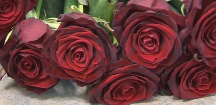 Gratulation zum 105. Geburtstag