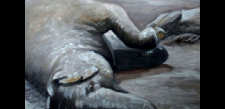 Ausstellung mit Malerei und  Zeichnungen