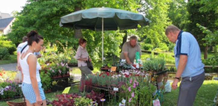 Raritätenbörse im botanischen Garten Jena TV Sehen, was bewegt.
