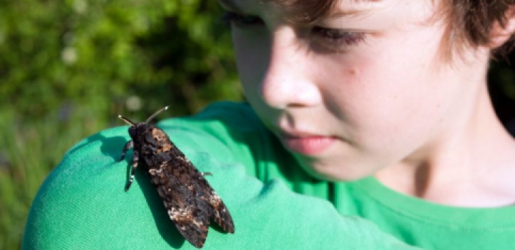 Falten-Sonderausstellung verlängert 