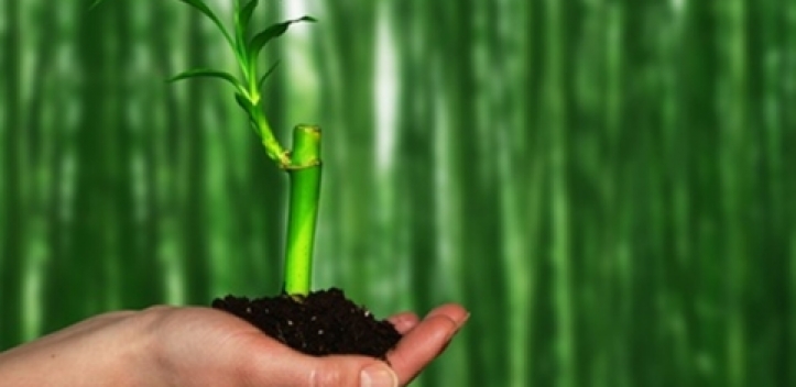 Fachkräfte für die Energie- und Umweltforschung