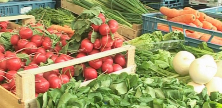 „Grüner Freitag“ beim Wurzelwerke e.V.