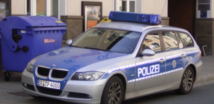 Hanfpflanzen auf Feld 