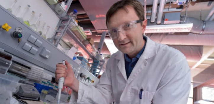 Spielerische Übung für chemischen Rechner    