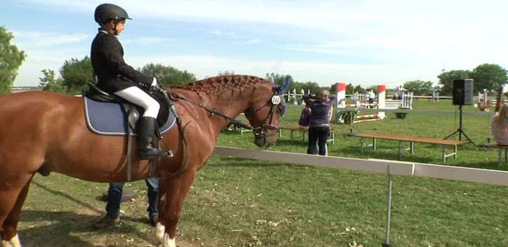 Pferdetage in Zöthen: Die Dressur- und Springwettbewerbe feierten ihr 20-jähriges Jubiläum