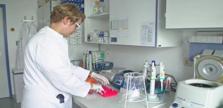 Förderung verlängert: Die Sepsisforschung am Uniklinikum wird über weitere fünf Jahre unterstützt