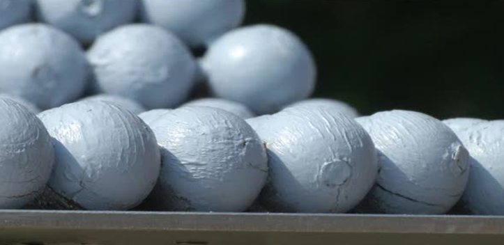 Wandern für Mathematik: In Jena soll auf einem Rundweg Interesse geweckt werden