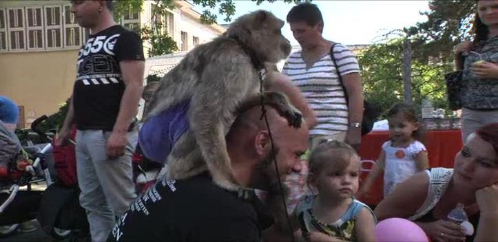 Doppeltes Glück: Die Kinderklinik veranstaltete ihr Frühgeborenenfest