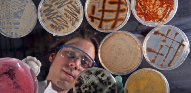 Pilzforscher tagen in Jena