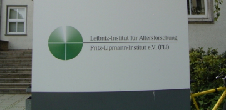 Neue Erkenntnisse zur Alterung von Gehirn- und Leberzellen 