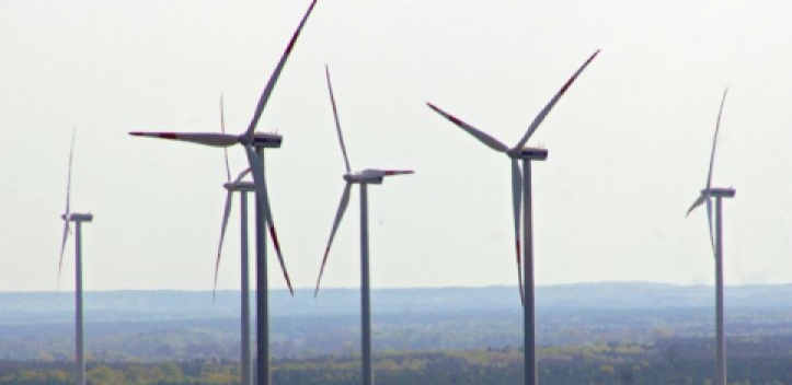 Wirtschaftswissenschaftler an Großprojekt beteiligt