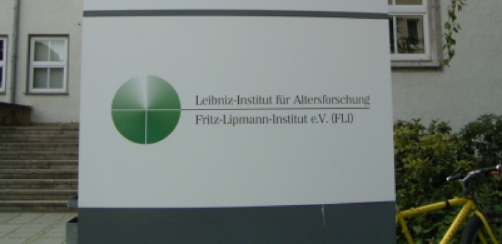 Jenaer Alternsforschung mit neuem Gesicht