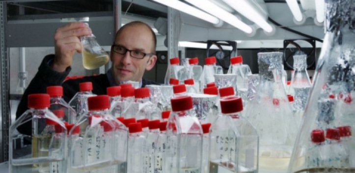 Neuer Max Planck Fellow 