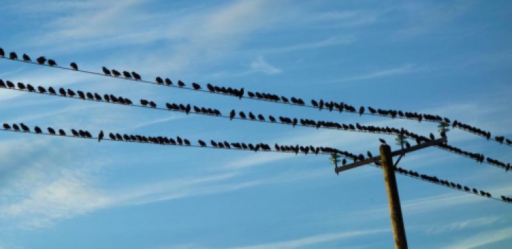 Programm des Uni-Seniorenkollegs liegt vor