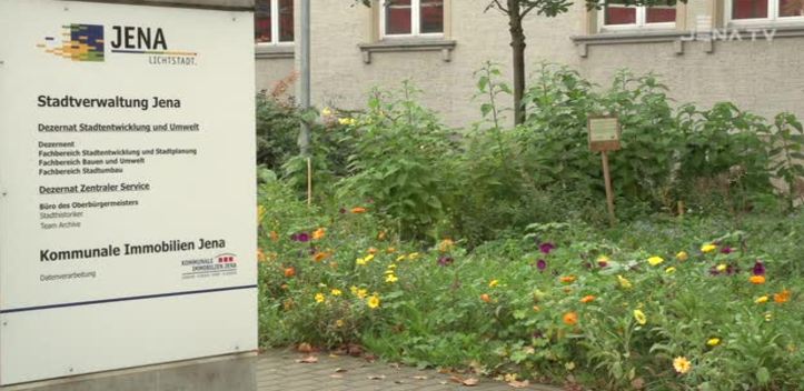 Gärtnern in der Stadt: In Jena gibt es zahlreiche Initiativen