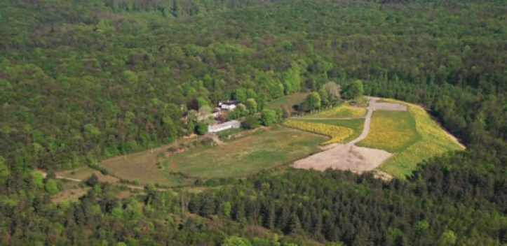 Umfrage zum Bürgerhaushalt 2016