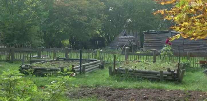 Gärtnern in Lobeda: Die Initiative „Buntes Gemüse“ ist offen für Jedermann