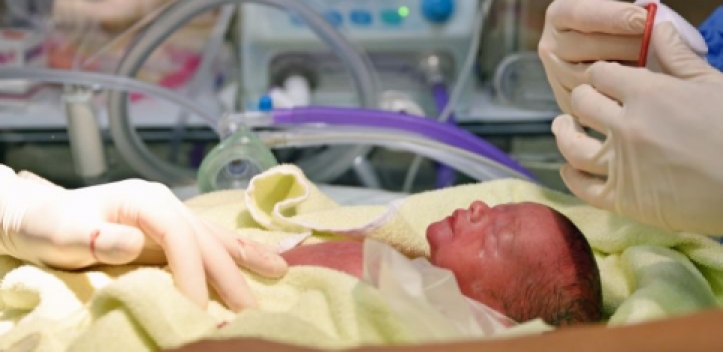 Vierlinge in Jena geboren