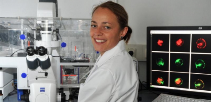 Entzündungsprozesse besser behandeln