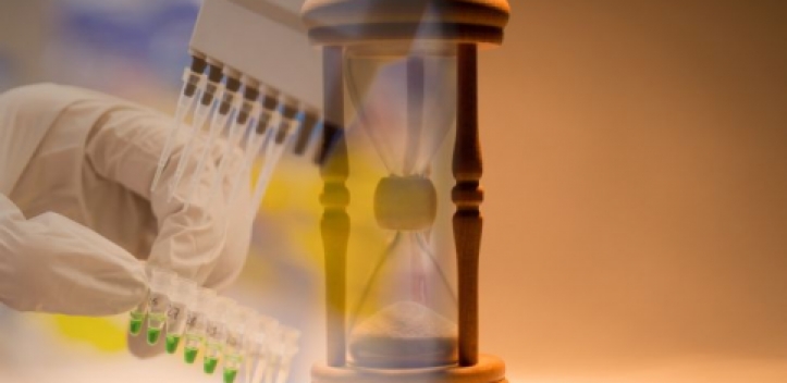 Dem Geheimnis der über 100-Jährigen auf der Spur