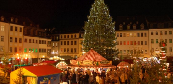 Geraer Weihnachtsbaum wird aufgestellt