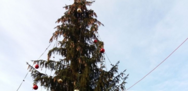 Weihnachtsbaum in Lobeda geschmückt