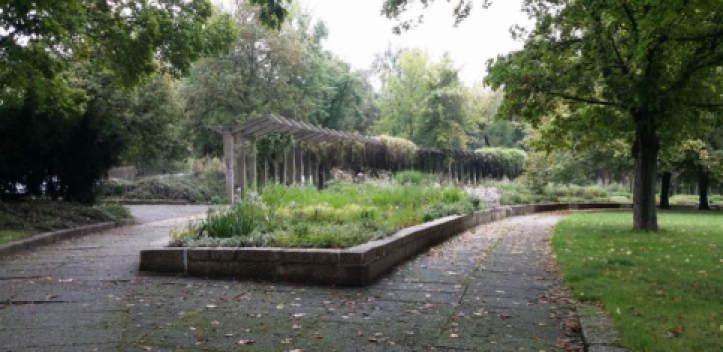 Fotodokumente zum Park der Demokratie gesucht 