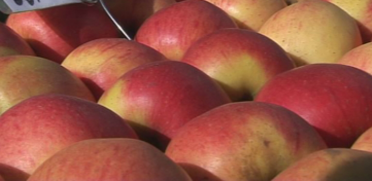 Gesunde Ernährung im Mittelpunkt    