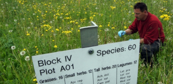 Zentrum mit Bilanz der Startphase