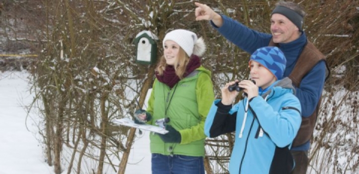 NABU Thüringen sucht Vogelzähler