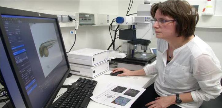 Neueste Erkenntnisse: Am Leibniz-Institut werden Vorgänge des Alterns untersucht