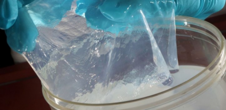 Universität lädt Jenaer Mittelstand ein