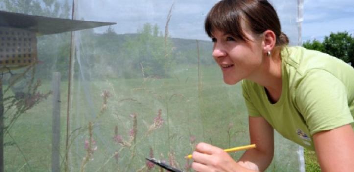 „Jena-Experiment“ geht weiter