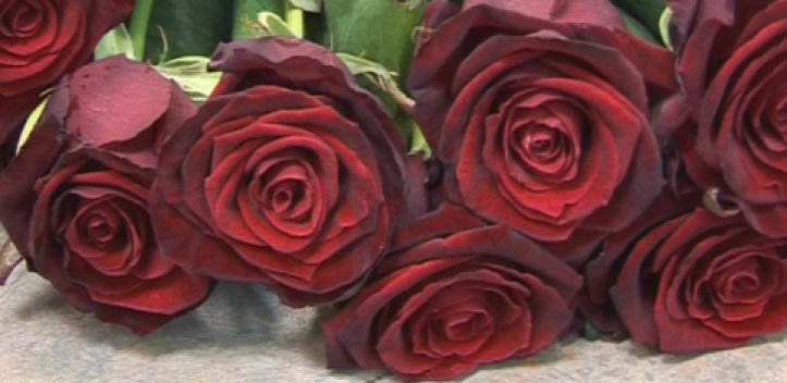 Gratulation zum 65. Hochzeitstag