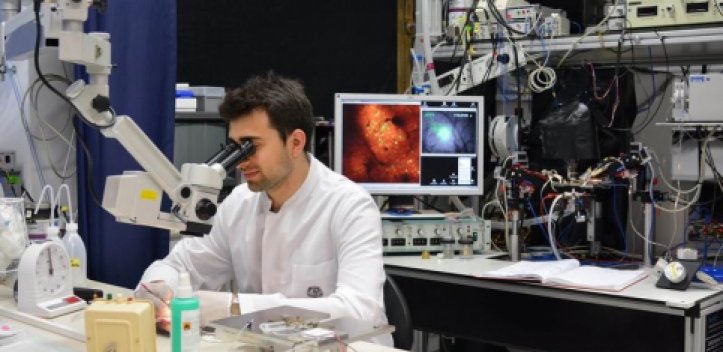 Biomedizinische Probleme mit optischen Werkzeugen lösen